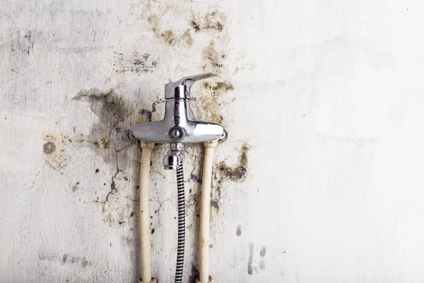 Best Residential Mold Remediation in Hope, IN
